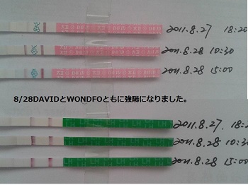 排卵検査薬 高温期8日目 高温期8日目＊妊娠超初期症状について