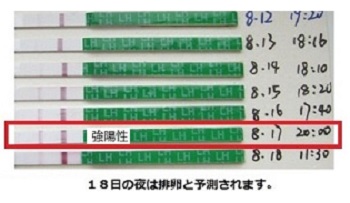 薄い陽性 タイミング 排卵検査薬 タイミング治療について